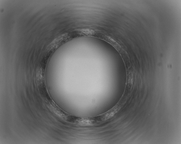 X0000084550518200703091723