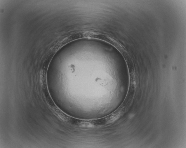 X0000084550519200703091723