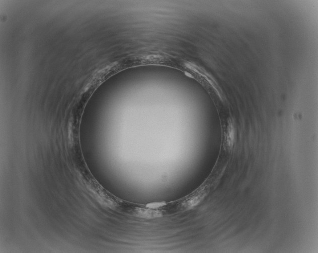 X0000084550520200703091723