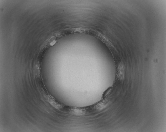 X0000084550522200703091723