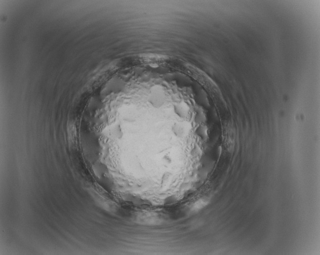 X0000084550523200703091723