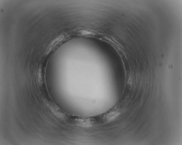 X0000084550524200703091723