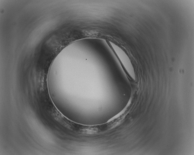 X0000084550525200703091723