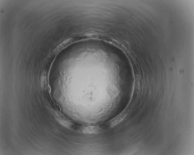 X0000084550527200703091722