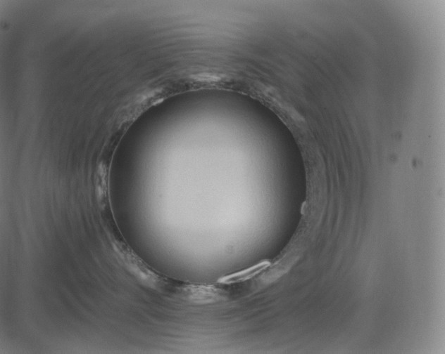 X0000084550528200703091722