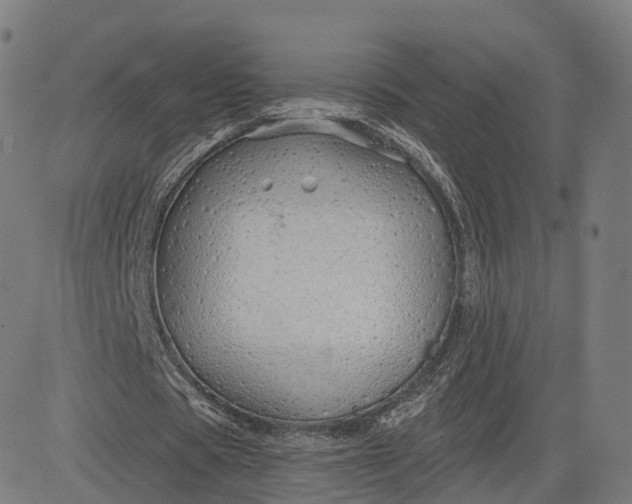 X0000084550529200703091722