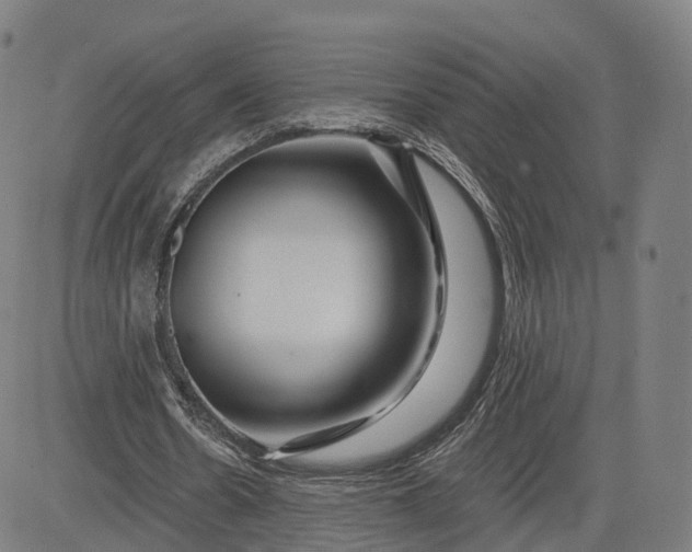 X0000084550530200703091722