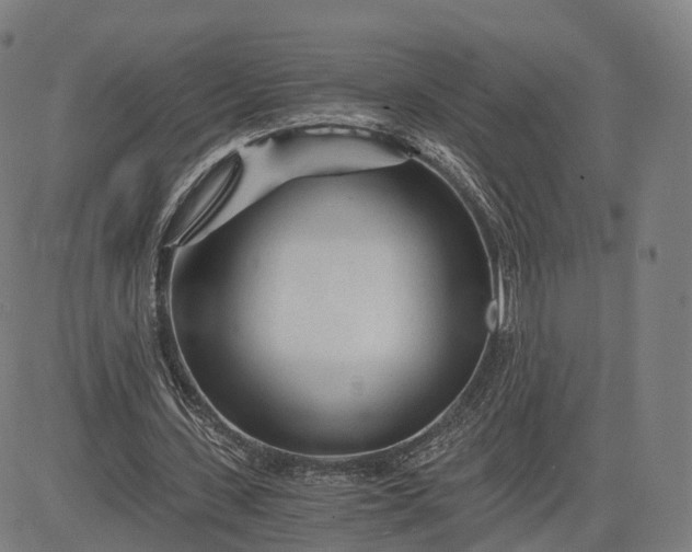 X0000084550531200703091722