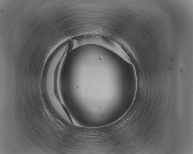 X0000084550532200703091722