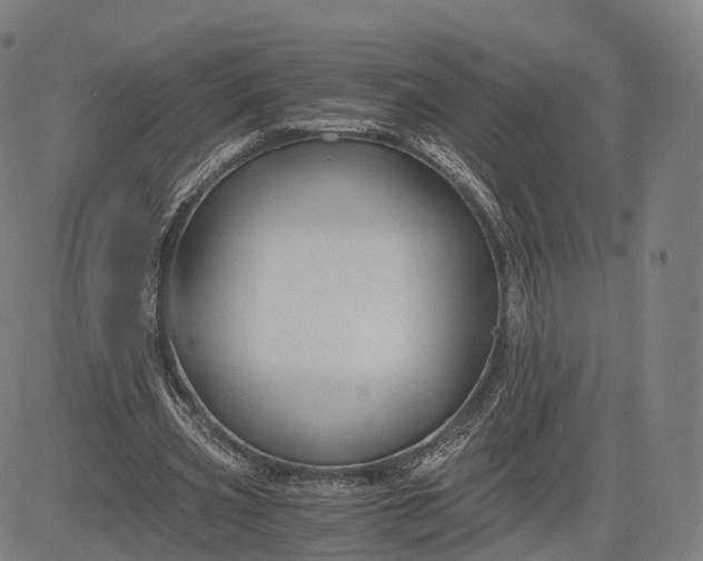 X0000084550533200703091722