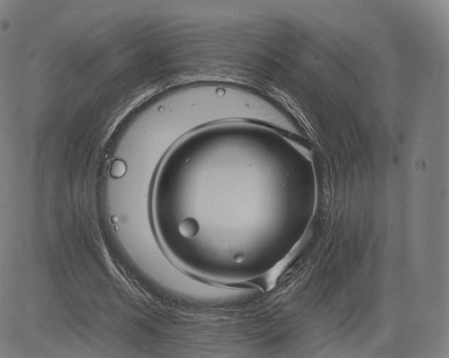 X0000084550534200703091722