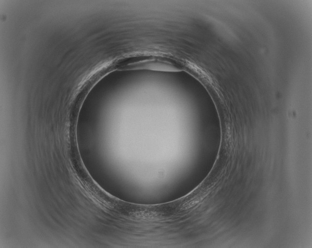 X0000084550535200703091722