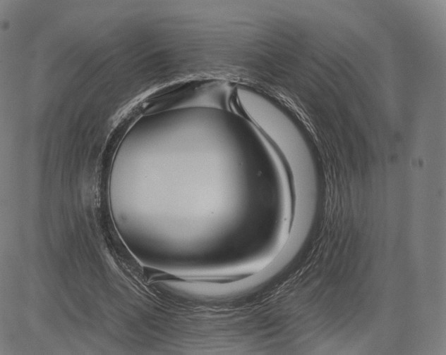 X0000084550536200703091722