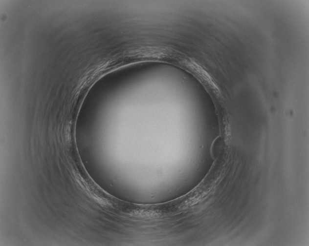 X0000084550537200703091722