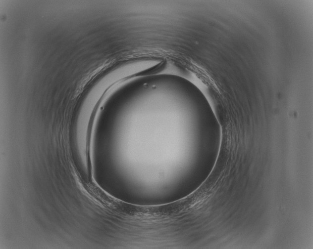 X0000084550538200703091722