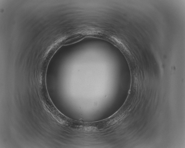 X0000084550539200703091722