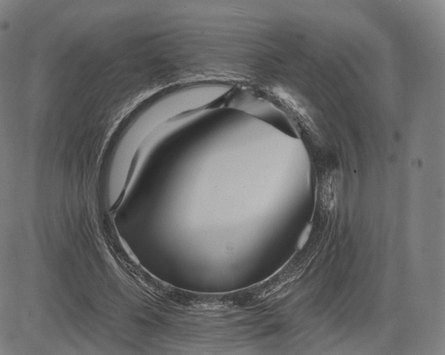 X0000084550540200703091722