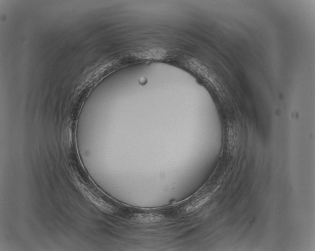 X0000084550541200703091722