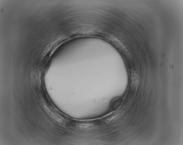 X0000084550542200703091722