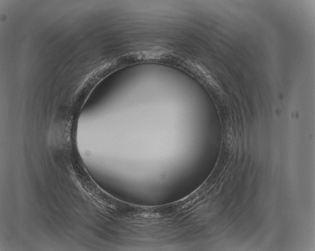 X0000084550543200703091722