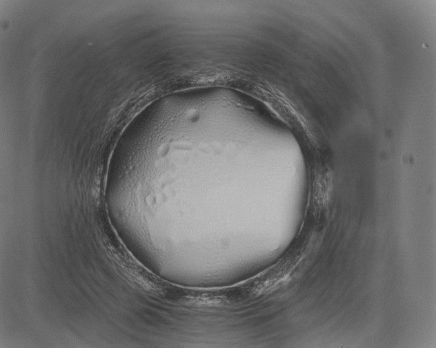 X0000084550545200703091722