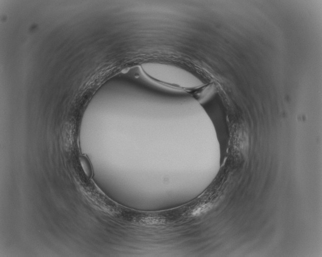 X0000084550546200703091722