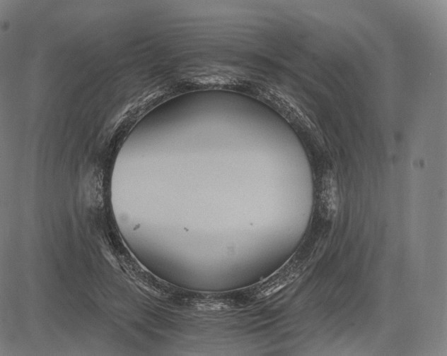 X0000084550547200703091722