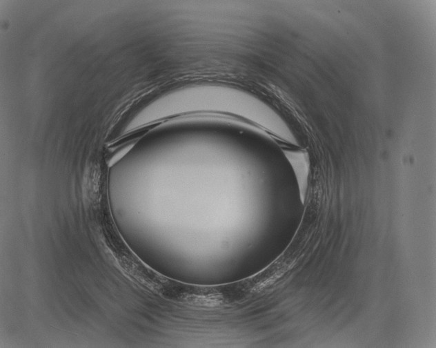 X0000084550548200703091722