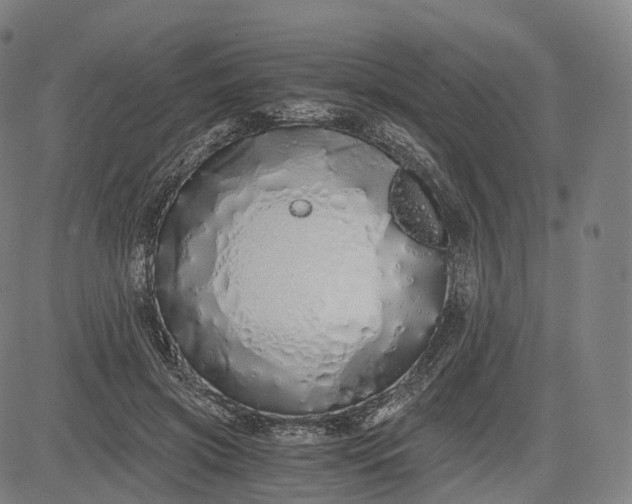 X0000084550549200703091722