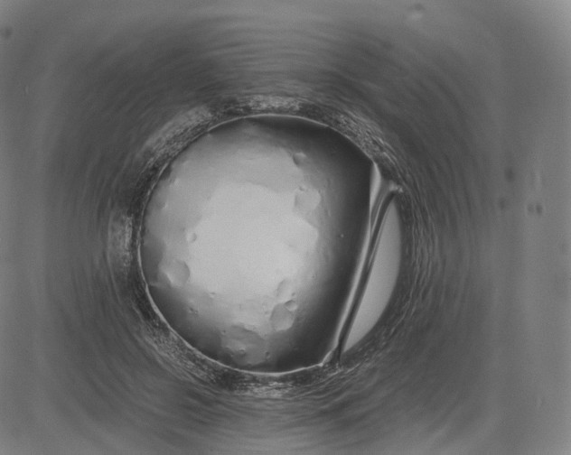 X0000084550550200703091722