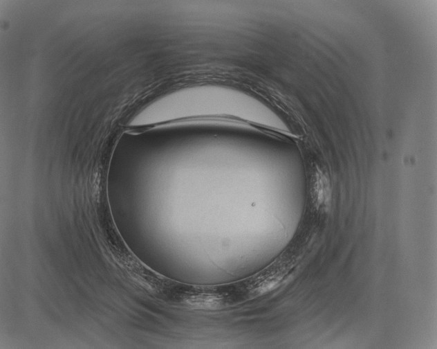 X0000084550551200703091722