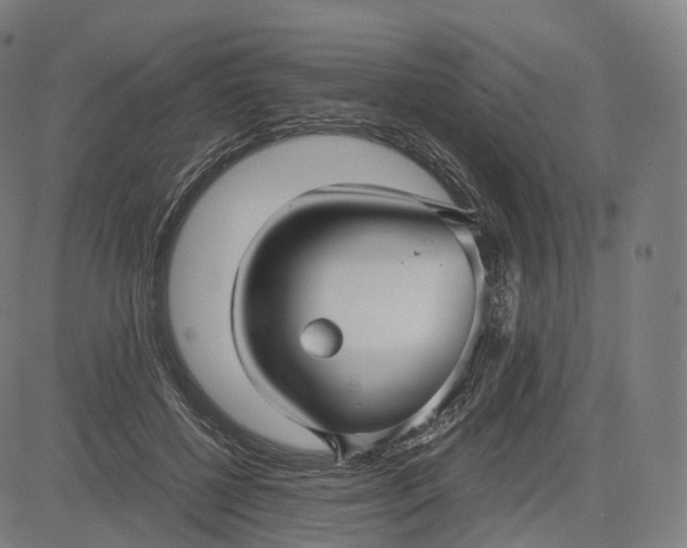 X0000084550552200703091722