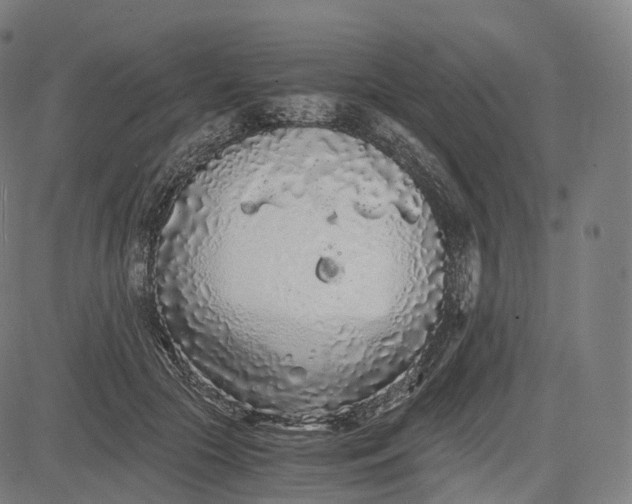 X0000084550553200703091722