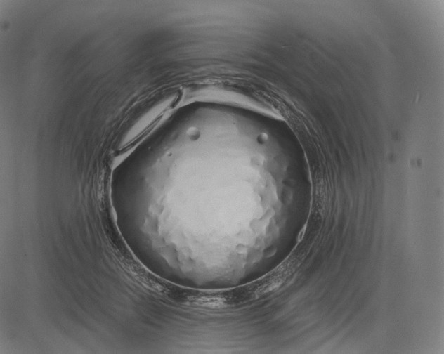 X0000084550554200703091722