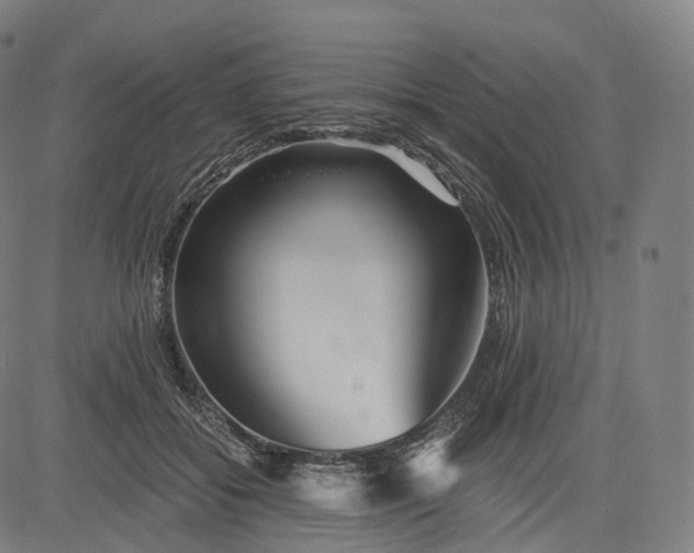 X0000084550556200703091722