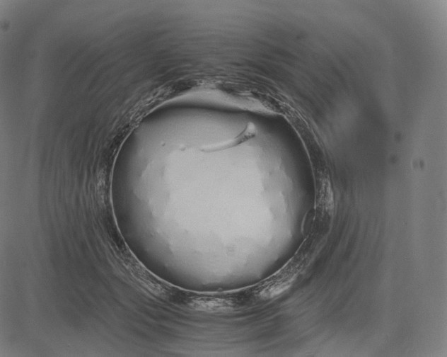 X0000084550557200703091722