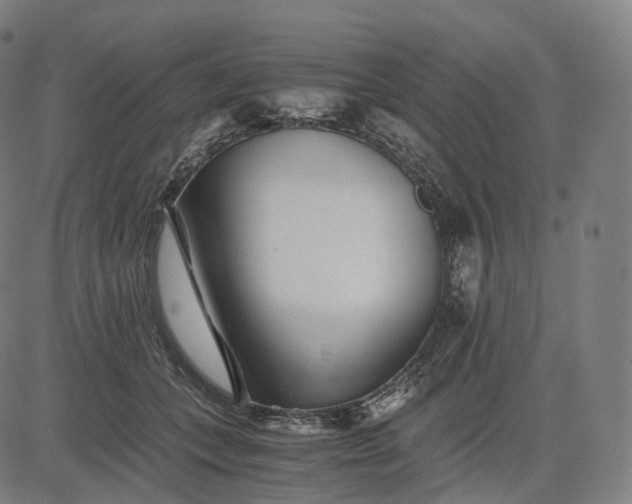 X0000084550559200703091722