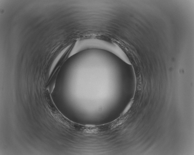 X0000084550560200703091722