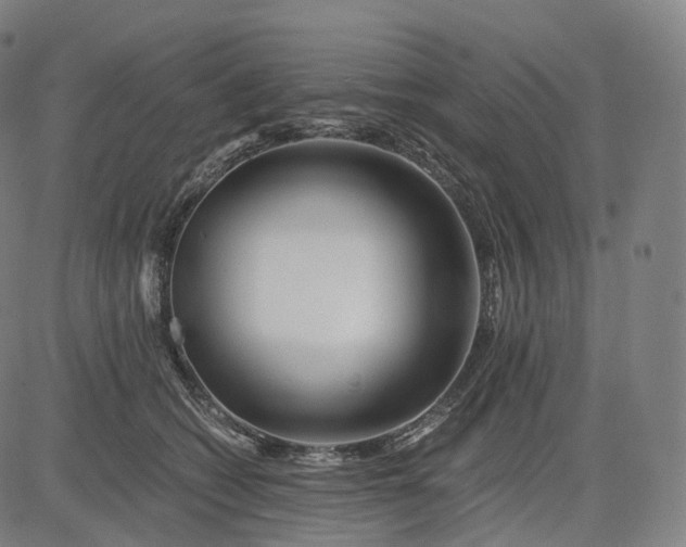 X0000084550562200703091722