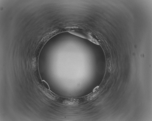 X0000084550563200703091722