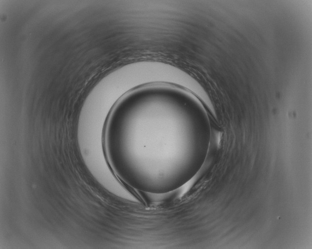 X0000084550564200703091722