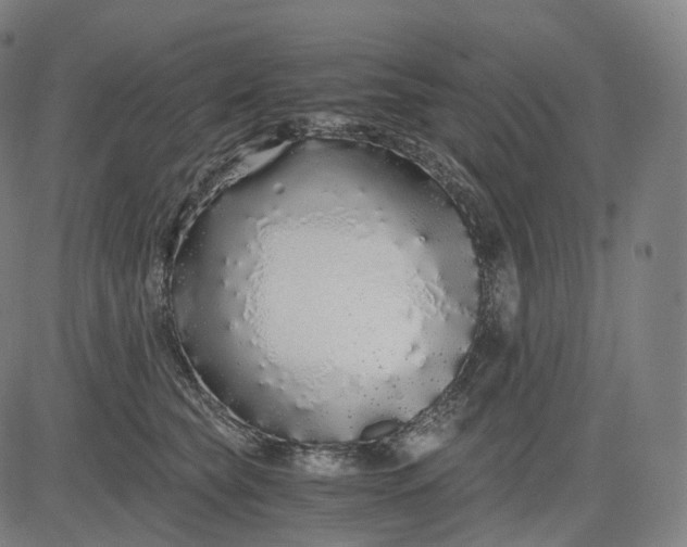 X0000084550565200703091722