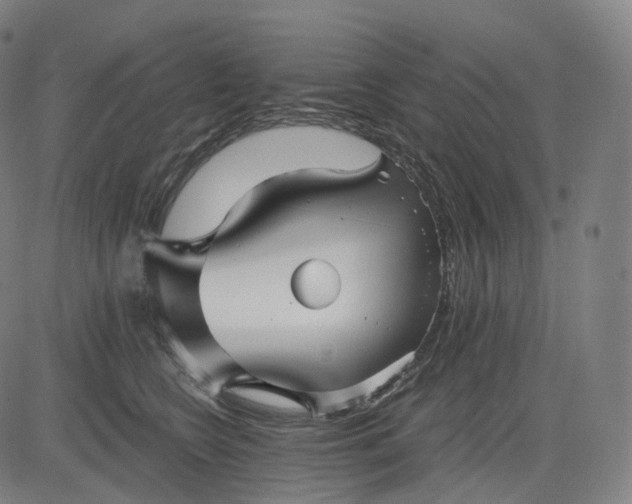 X0000084550566200703091722