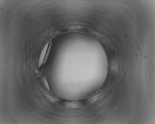 X0000084550567200703091722