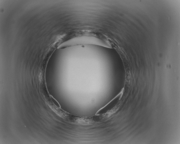 X0000084550568200703091722