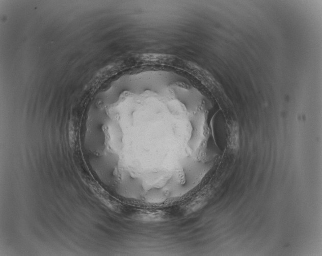 X0000084550569200703091722