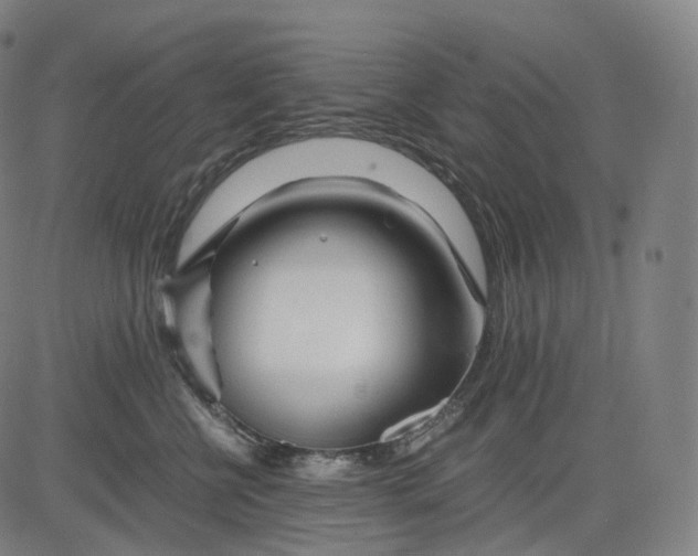 X0000084550570200703091722