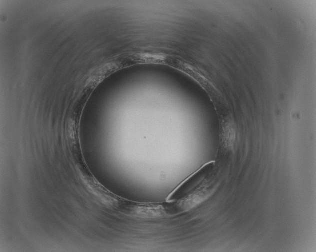 X0000084550571200703091722