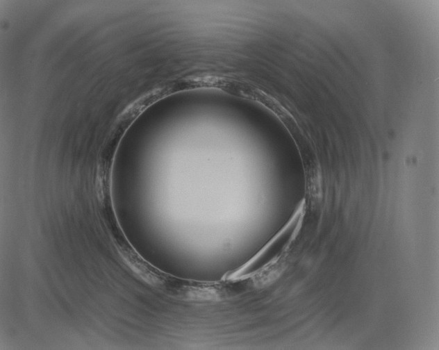 X0000084550572200703091722