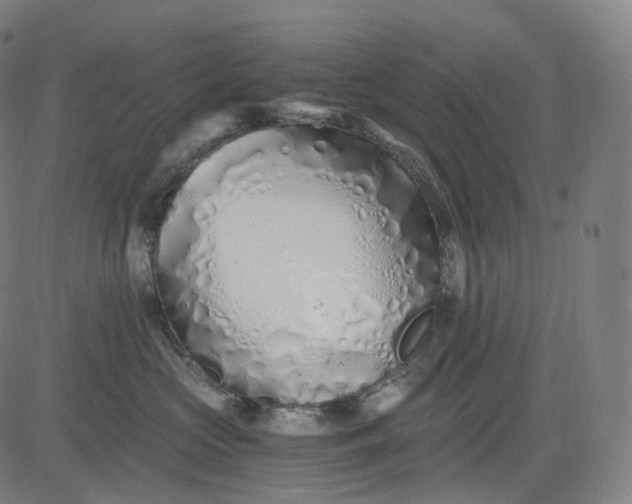 X0000084550573200703091722